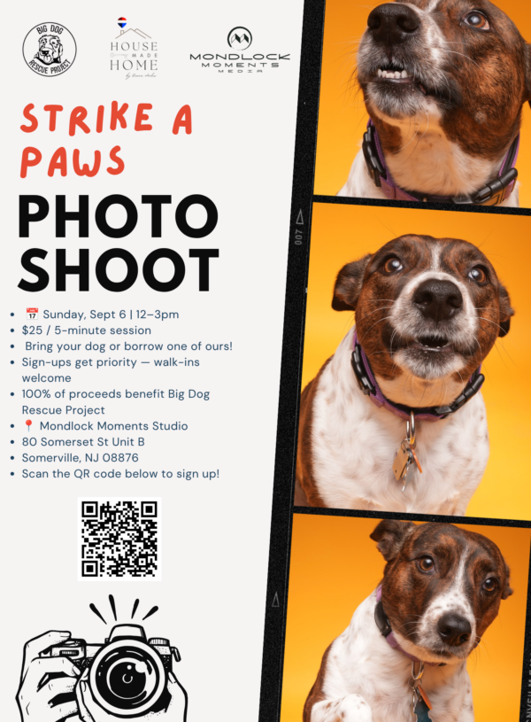 Strike a Paws – A Photoshoot Fundraiser